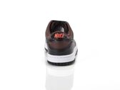 Nike Dunk Low GS woman/child IQ0311 216