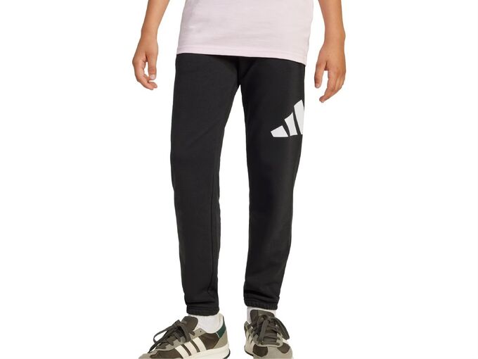 Adidas BIG LOGO PANT junior JD2090