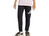 Adidas BIG LOGO PANT junior JD2090