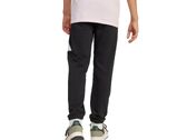 Adidas BIG LOGO PANT junior JD2090