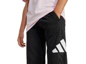 Adidas BIG LOGO PANT junior JD2090
