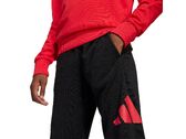 Adidas Sportswear Big Logo junior JD2099