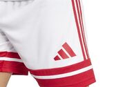 Adidas SQUADRA 25 man JH3404