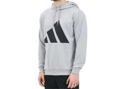 Adidas Sportswear Big Logo French Terry man JI8870