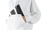 Adidas BIG LOGO HOODIE woman JN1843