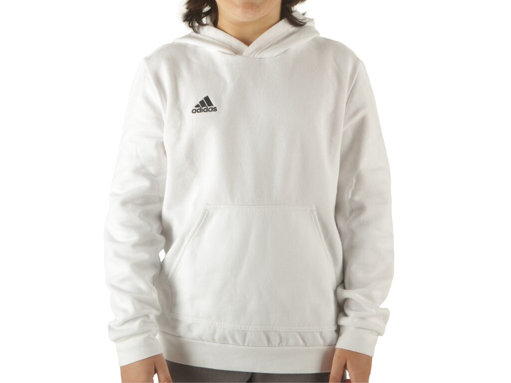 Adidas Entrada 22 Hoodie junior HG6303