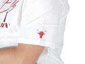 Nike Bulls Courtside man FN1057 100